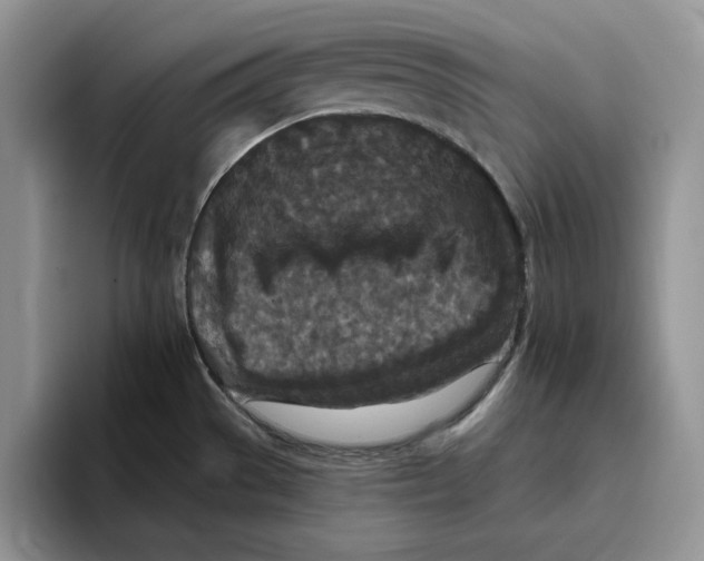 X0000093531529200711091749