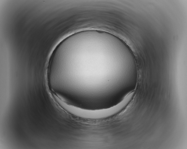 X0000093531530200711091749