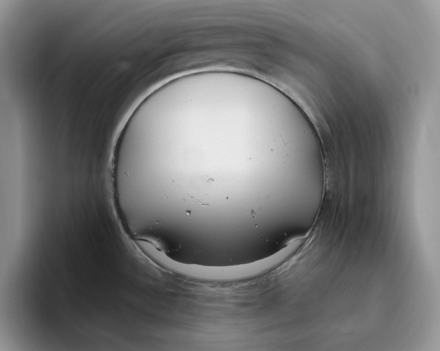 X0000093531532200711091749