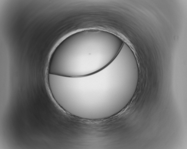 X0000093531536200711091749