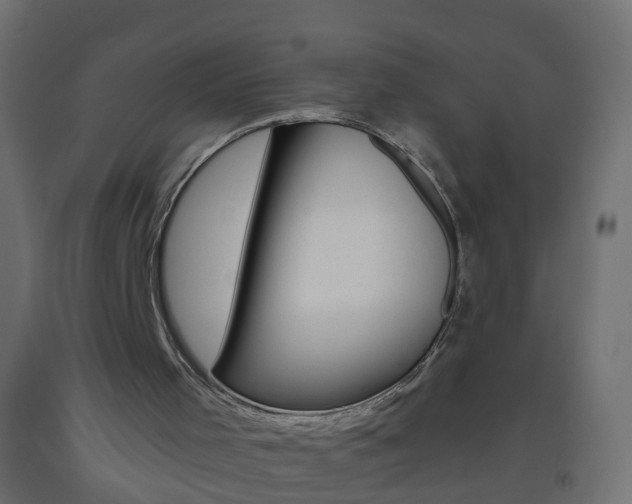 X0000093560001200710151005