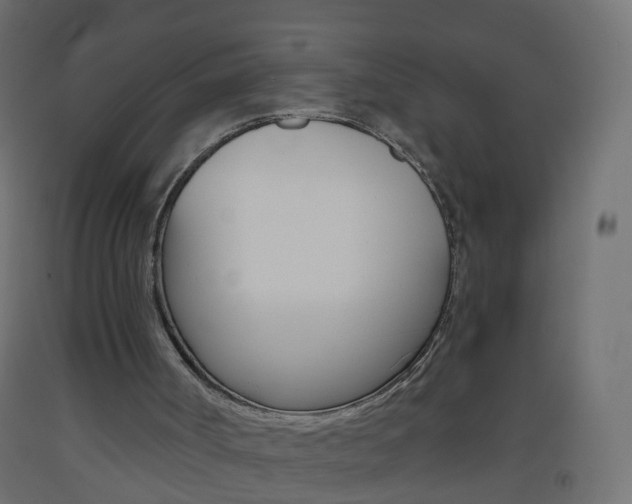 X0000093560002200710151005
