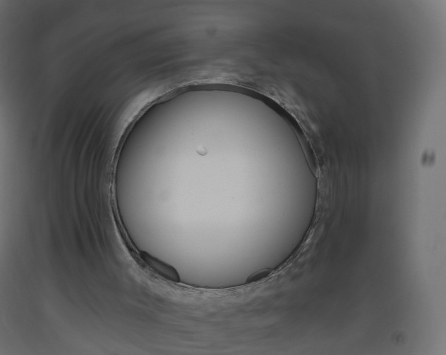 X0000093560003200710151005