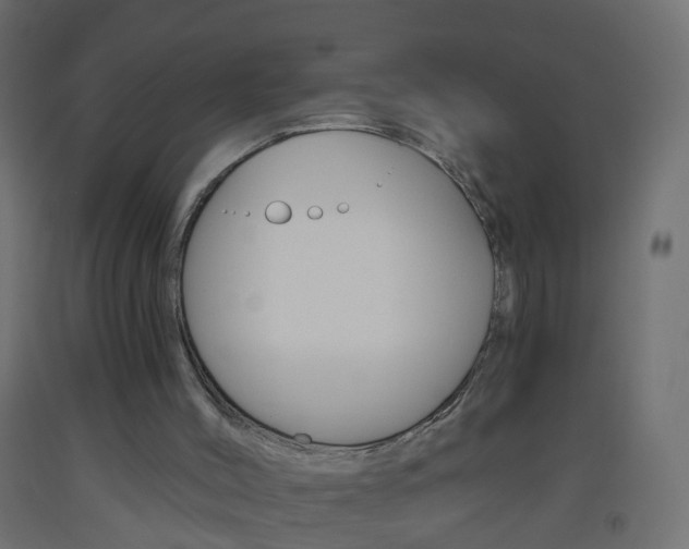X0000093560004200710151005