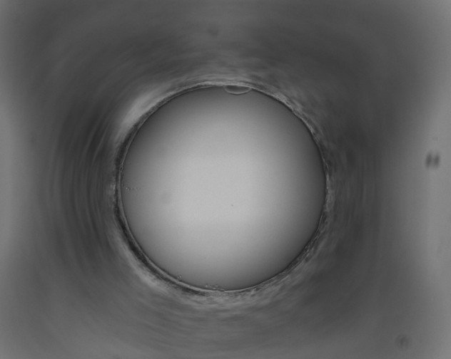 X0000093560005200710151005