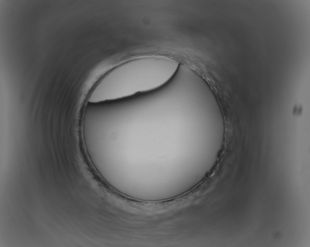 X0000093560006200710151005