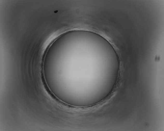 X0000093560007200710151005