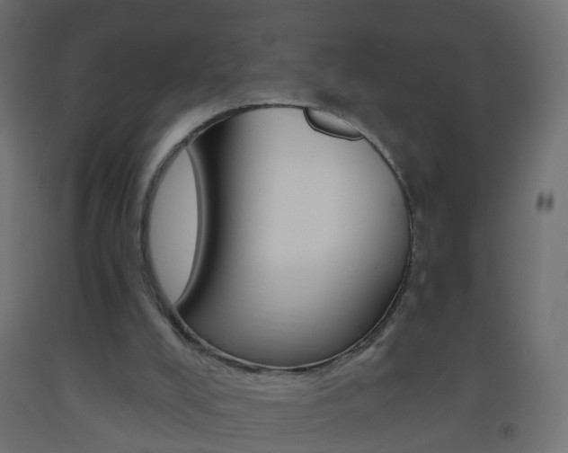 X0000093560008200710151005