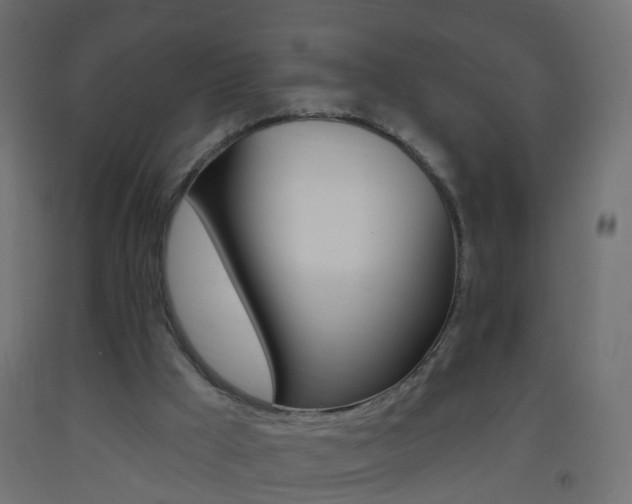 X0000093560009200710151005