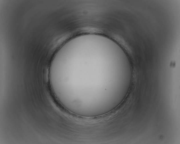 X0000093560014200710151005
