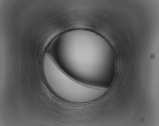 X0000093560015200710151005