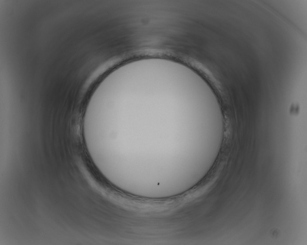 X0000093560016200710151005