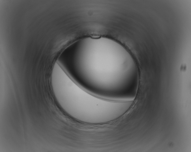 X0000093560017200710151005