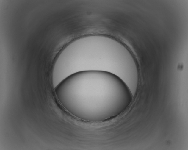 X0000093560019200710151005