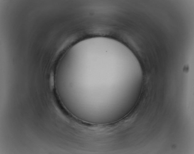 X0000093560020200710151005