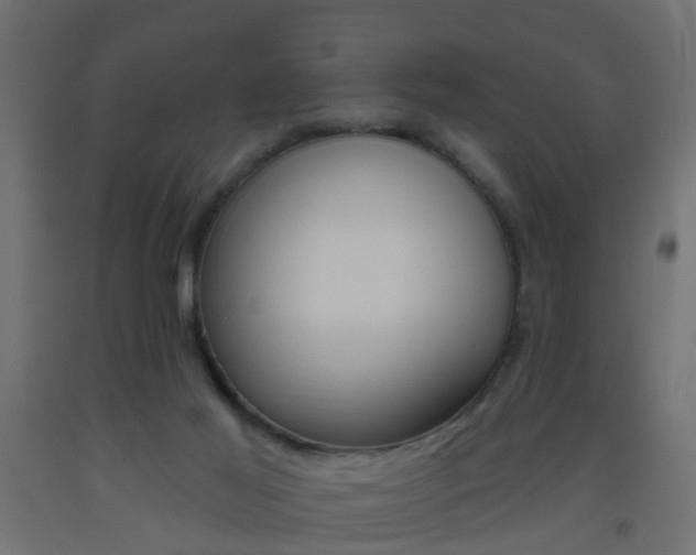 X0000093560021200710151005