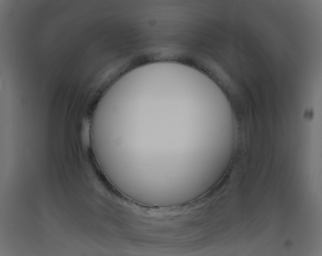 X0000093560022200710151005