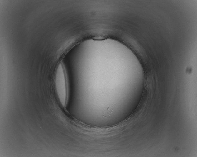 X0000093560023200710151005