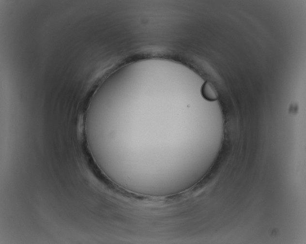 X0000093560024200710151005