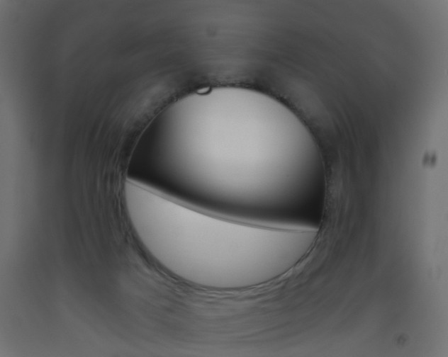 X0000093560025200710151005