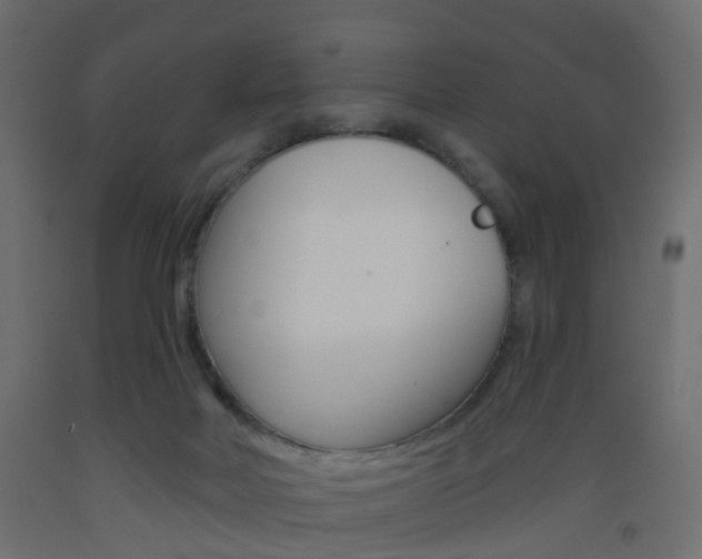 X0000093560026200710151005
