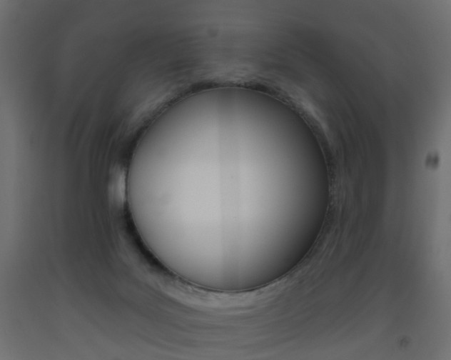 X0000093560027200710151005