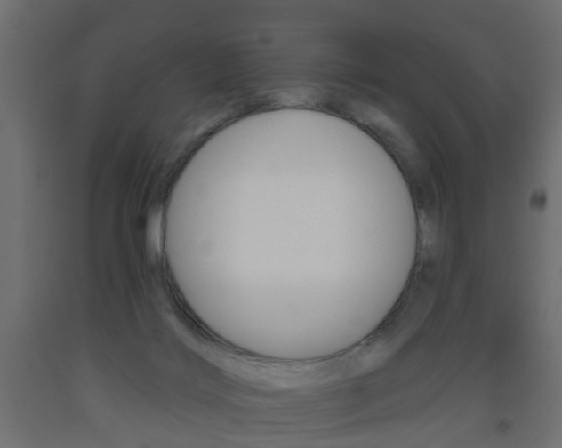 X0000093560028200710151005