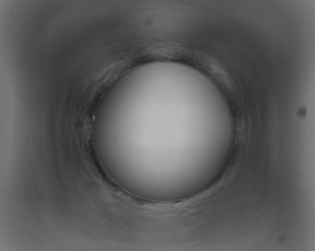 X0000093560029200710151005