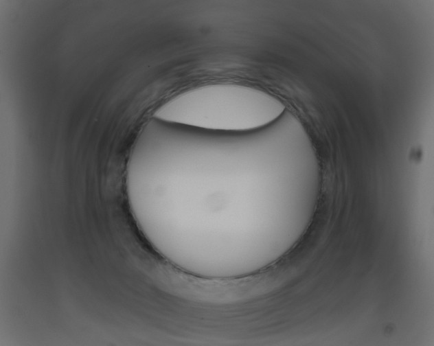 X0000093560030200710151005