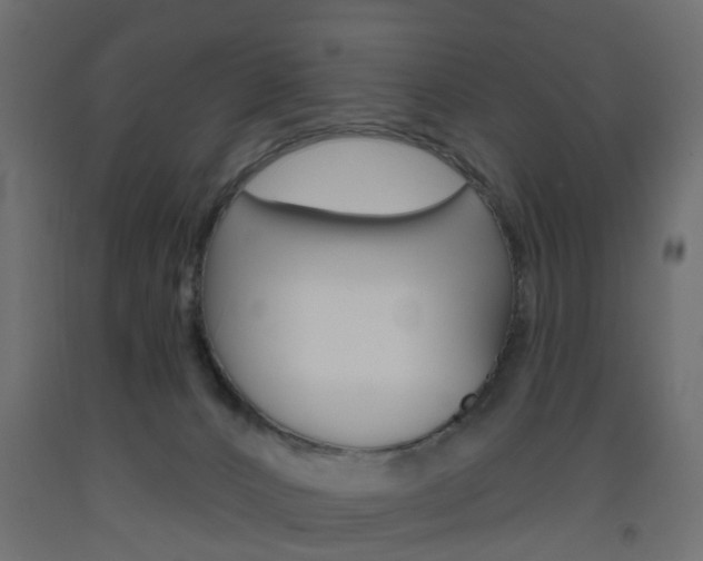 X0000093560032200710151005