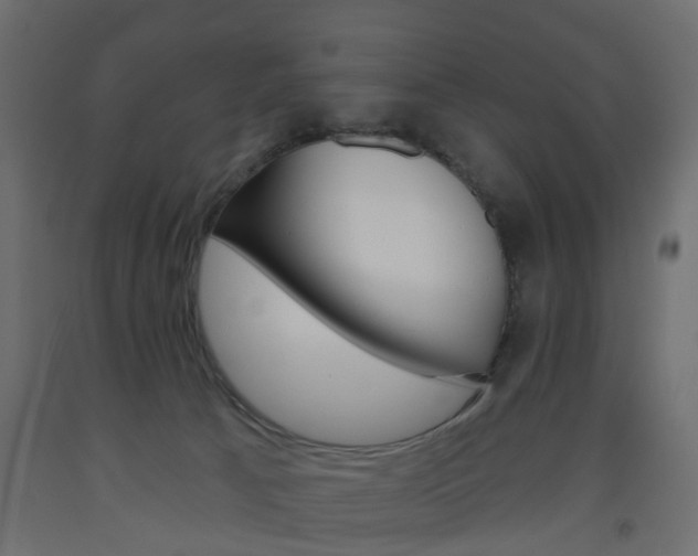 X0000093560033200710151005