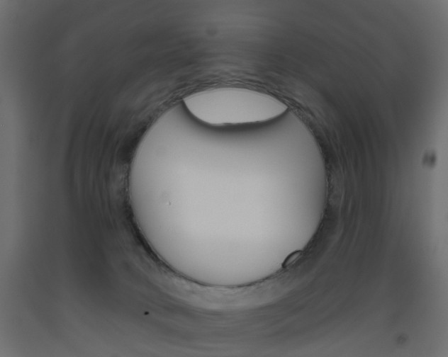 X0000093560034200710151005