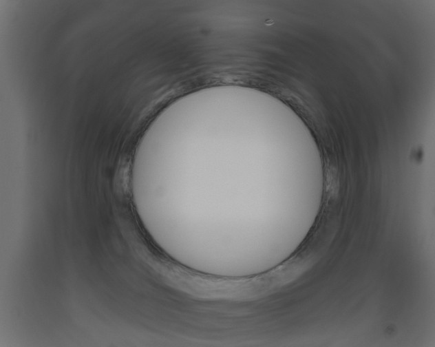 X0000093560036200710151005