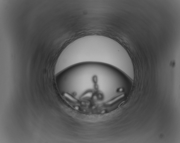 X0000093560037200710151005