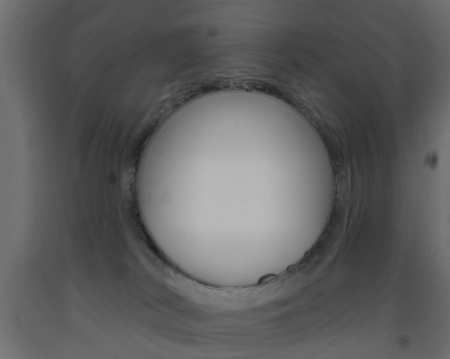 X0000093560038200710151005