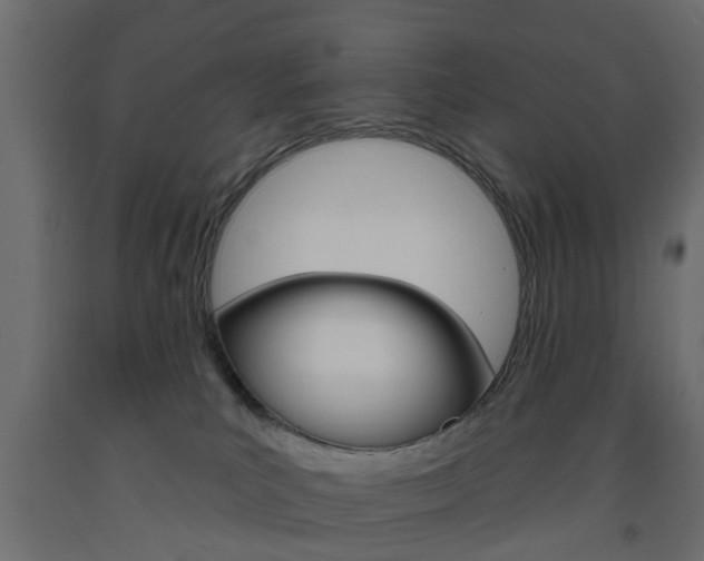 X0000093560039200710151005