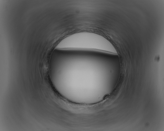 X0000093560040200710151005