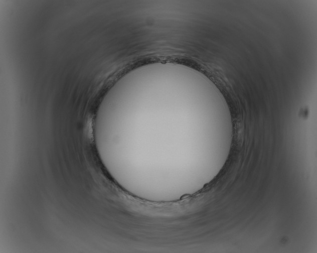 X0000093560042200710151005
