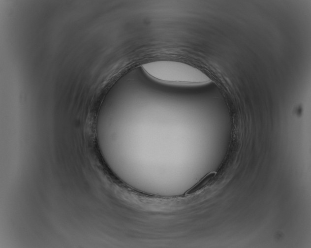X0000093560044200710151005
