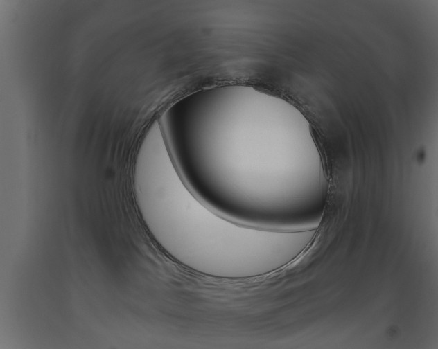 X0000093560045200710151005