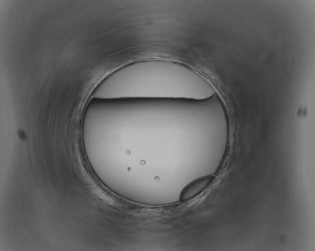 X0000093560049200710151004