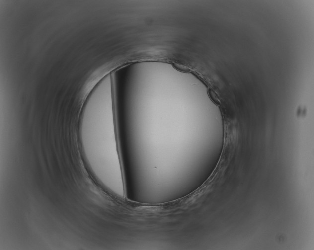X0000093560051200710151004