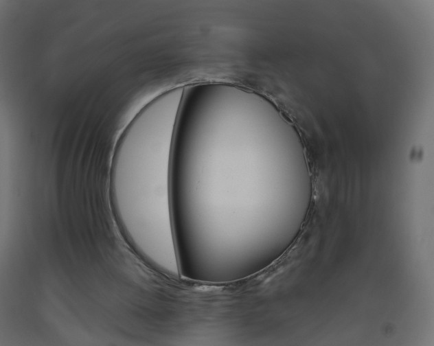 X0000093560052200710151004