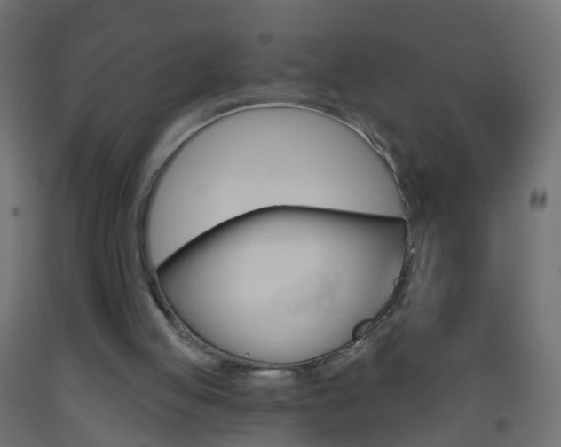 X0000093560053200710151004