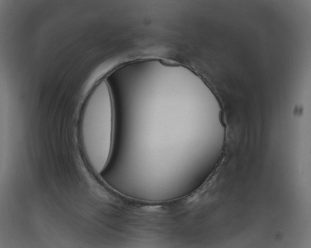 X0000093560054200710151004