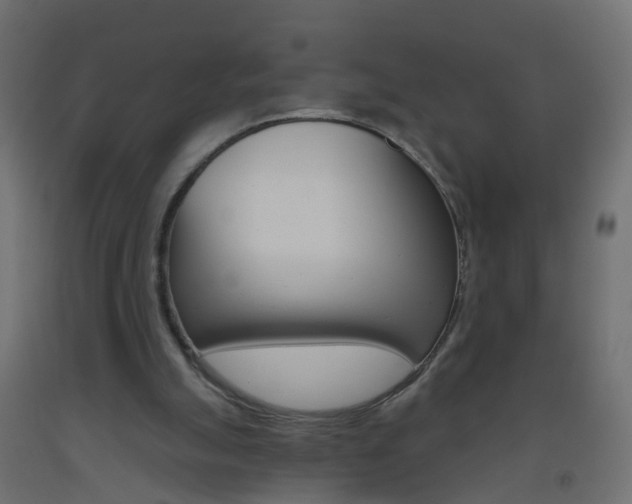 X0000093560055200710151004