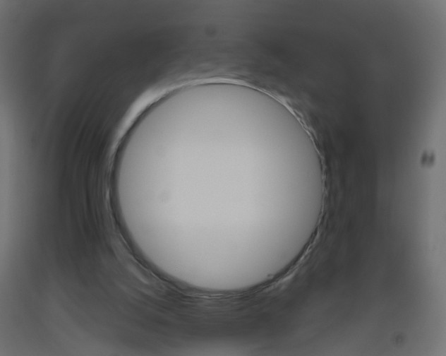 X0000093560056200710151004