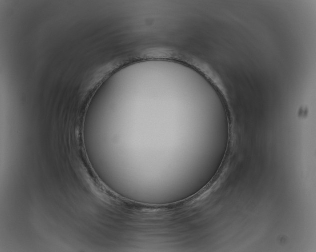 X0000093560057200710151004
