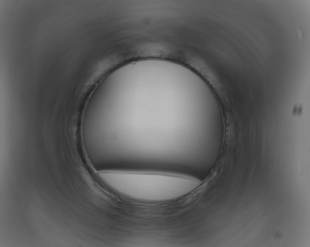 X0000093560058200710151004