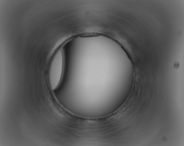 X0000093560060200710151004